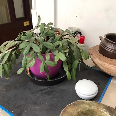 Summer Place Апартаменты Будапешт