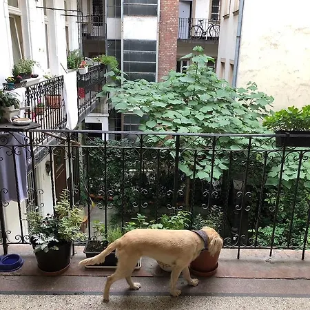 Summer Place * Budapešť