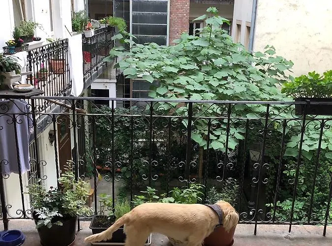 Summer Place * Budapesta