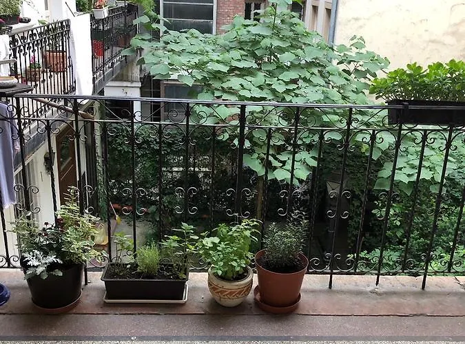 Summer Place Apartament